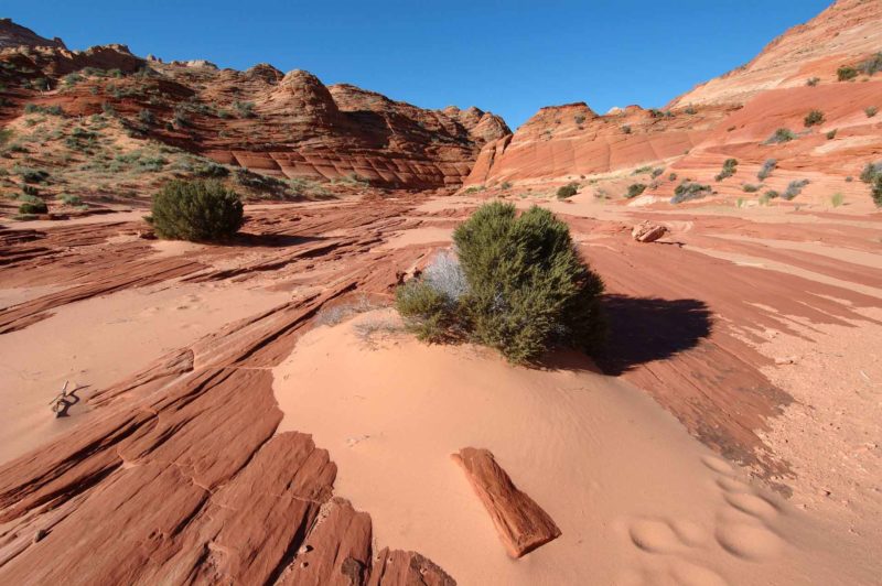 USAX0136 | 2005, 2005-USA, AMERIKA, Colorado-Plateau, Region The Wave, The Wave, USA