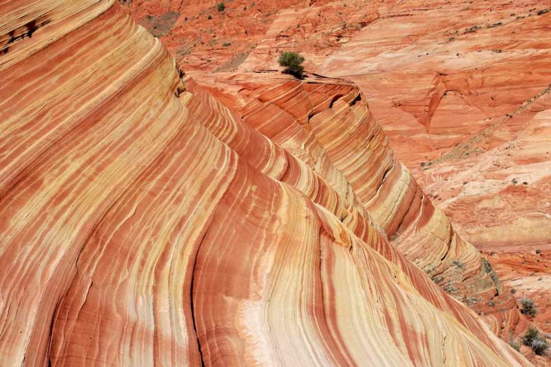 USAX0138 | 2005, 2005-USA, AMERIKA, Colorado-Plateau, Region The Wave, The Wave, USA