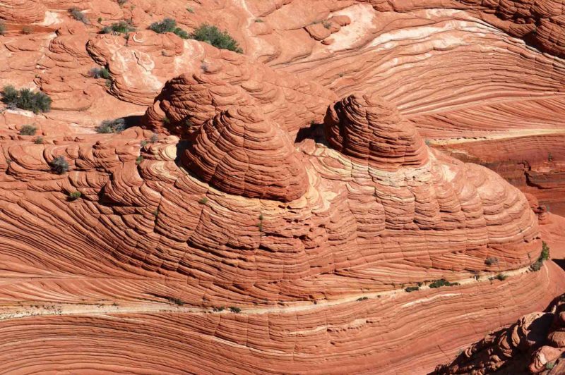 USAX0143 | 2005, 2005-USA, AMERIKA, Colorado-Plateau, Region The Wave, The Wave, USA