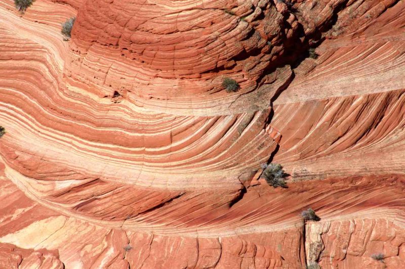 USAX0145 | 2005, 2005-USA, AMERIKA, Colorado-Plateau, Region The Wave, The Wave, USA