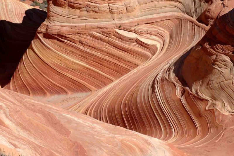 USAX0153 | 2005, 2005-USA, AMERIKA, Colorado-Plateau, Region The Wave, The Wave, USA