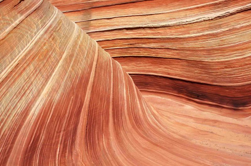 USAX0156 | 2005, 2005-USA, AMERIKA, Colorado-Plateau, Region The Wave, The Wave, USA