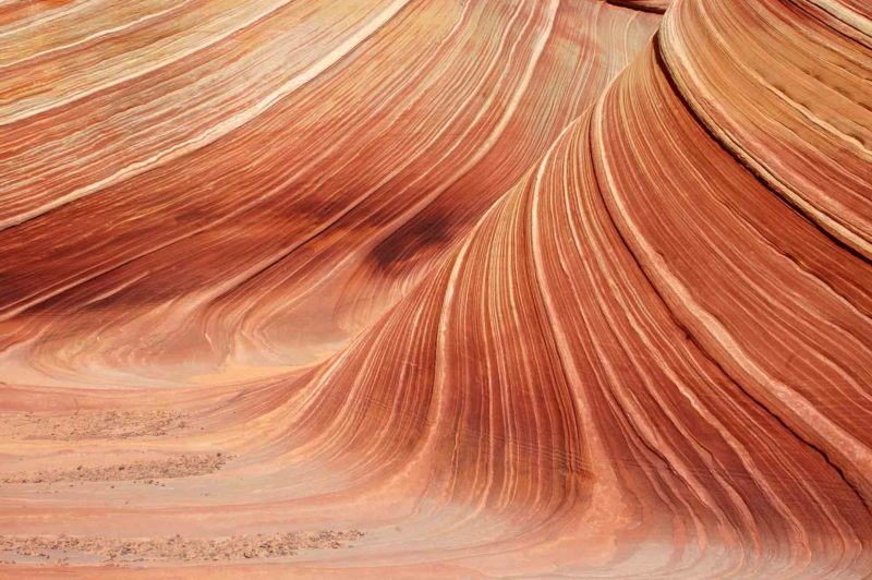 USAX0157 | 2005, 2005-USA, AMERIKA, Colorado-Plateau, Region The Wave, The Wave, USA