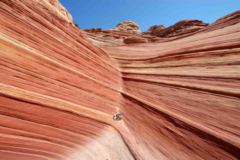 USAX0159 | 2005, 2005-USA, AMERIKA, Colorado-Plateau, Region The Wave, The Wave, USA