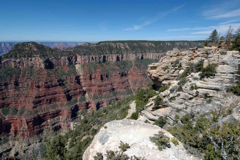 USAX0169 | 2005, 2005-USA, AMERIKA, Colorado-Plateau, Grand Canyon NP, North Rim, USA