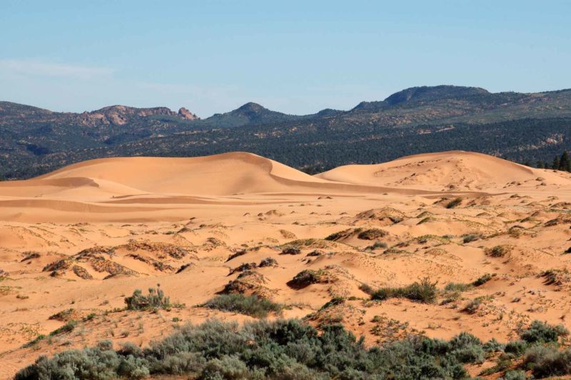 USAX0171 | 2005, 2005-USA, AMERIKA, Colorado-Plateau, Coral Pink Sand Dunes SP, Region The Wave, USA